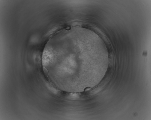 X0000094450573200711211521