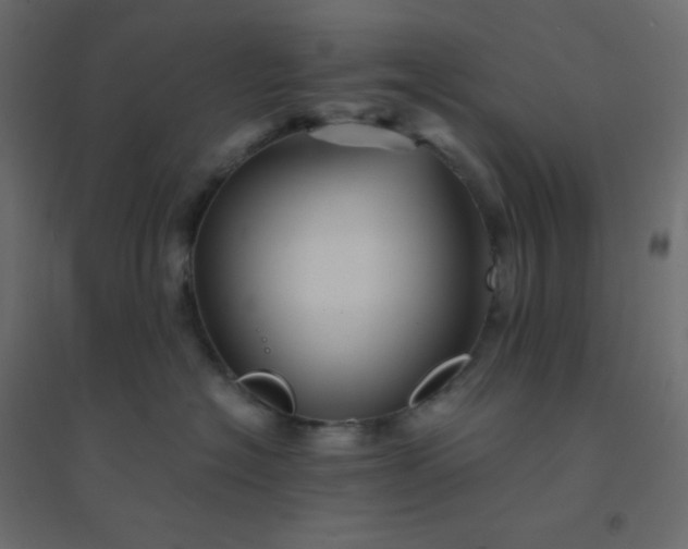 X0000094450574200711211521