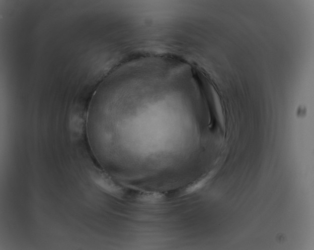 X0000094450576200711211521