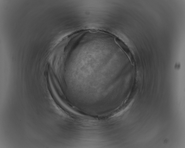 X0000094450577200711211520