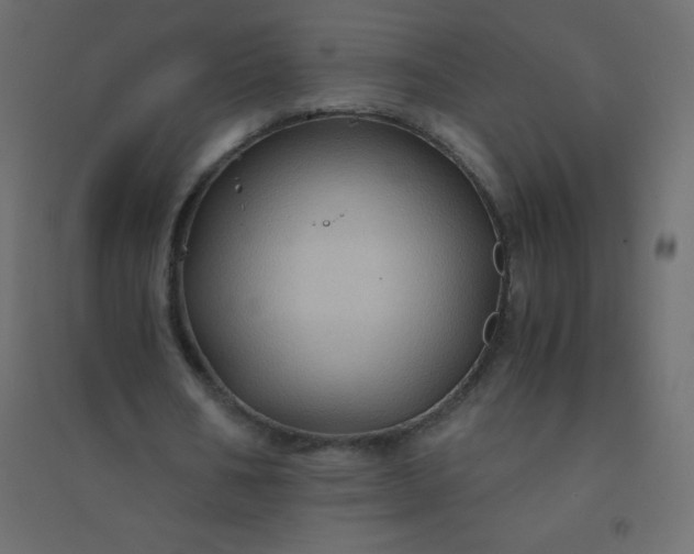 X0000094450578200711211520