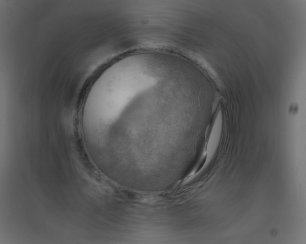 X0000094450579200711211520