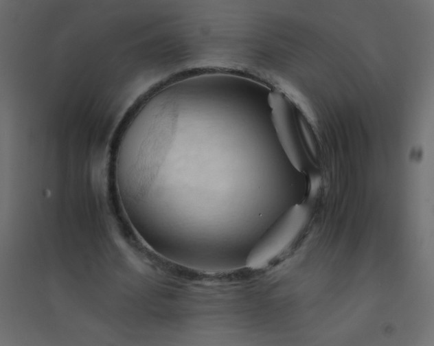 X0000094450580200711211520