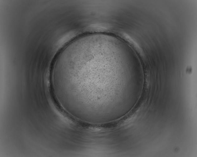 X0000094450582200711211520