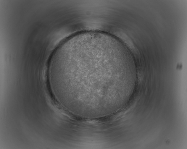 X0000094450583200711211520