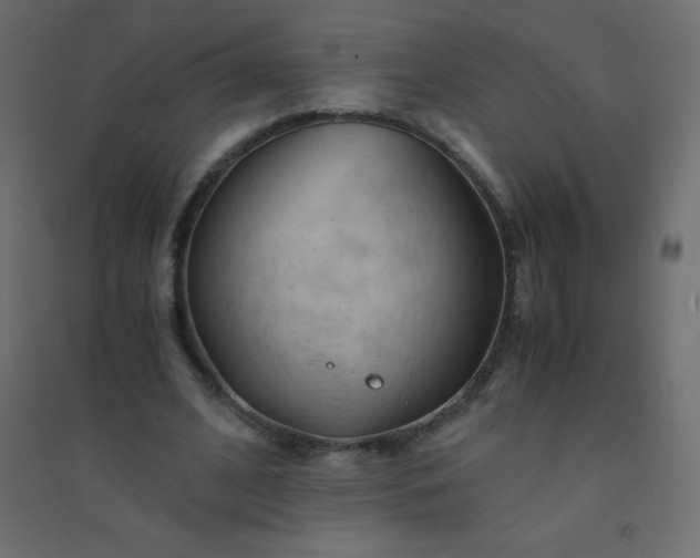 X0000094450584200711211520