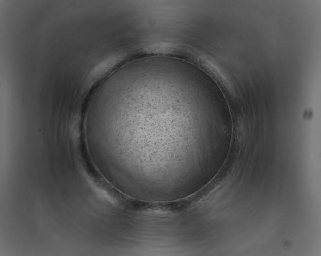 X0000094450586200711211520