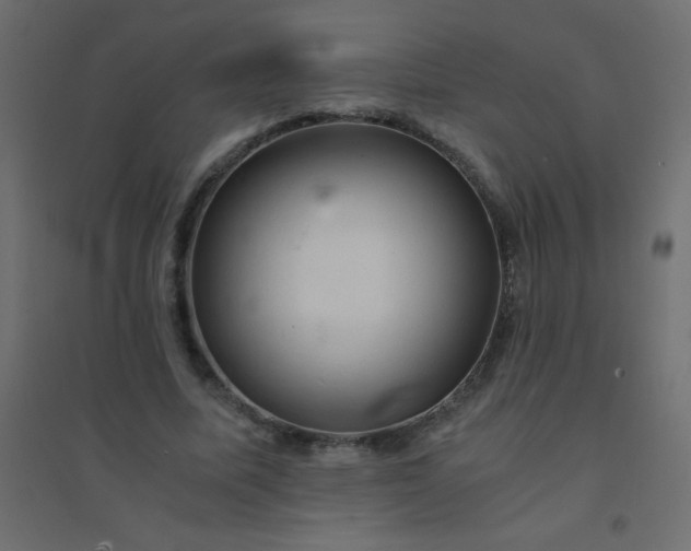 X0000094450587200711211520