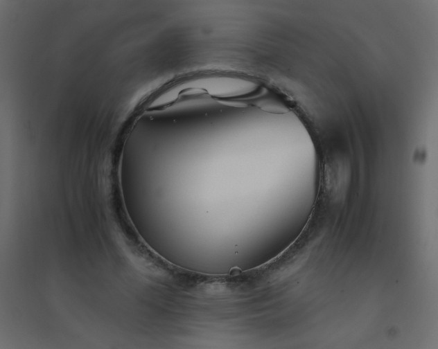 X0000094450588200711211520