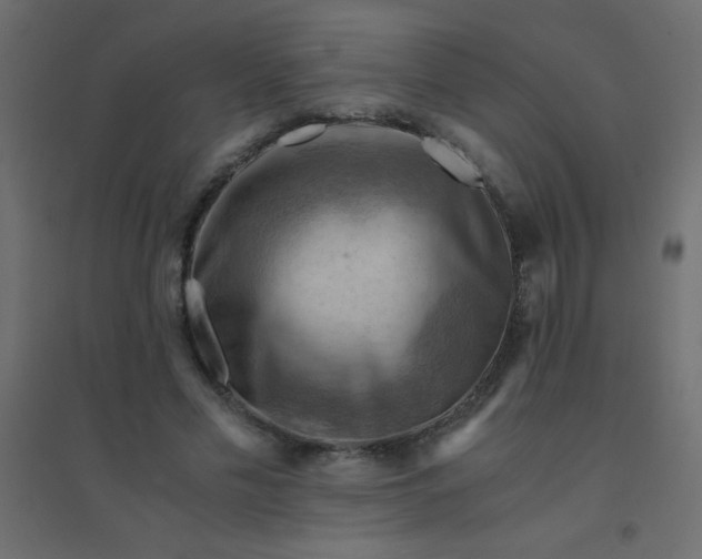 X0000094450589200711211520