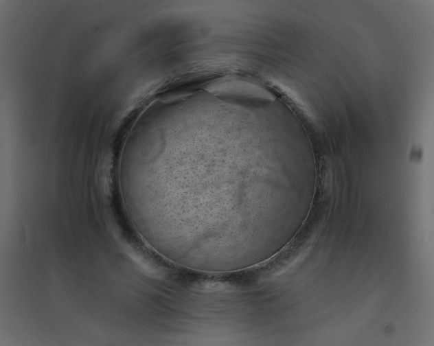 X0000094450590200711211520