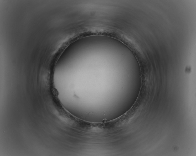 X0000094450592200711211520