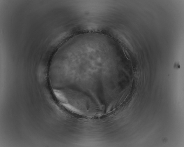 X0000094450593200711211520