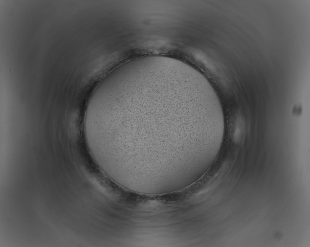 X0000094450594200711211520