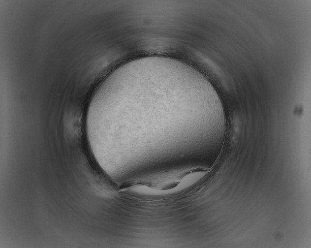 X0000094450596200711211520