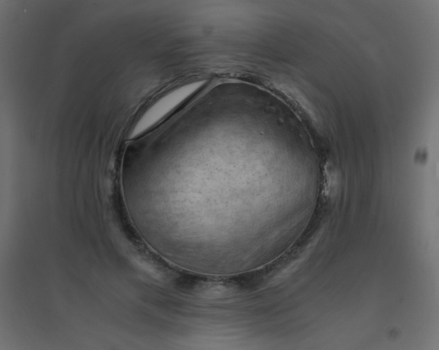 X0000094450597200711211520