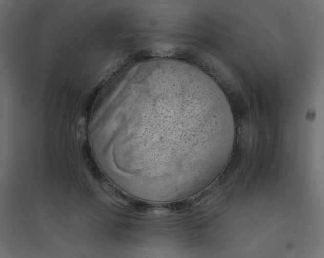 X0000094450598200711211520