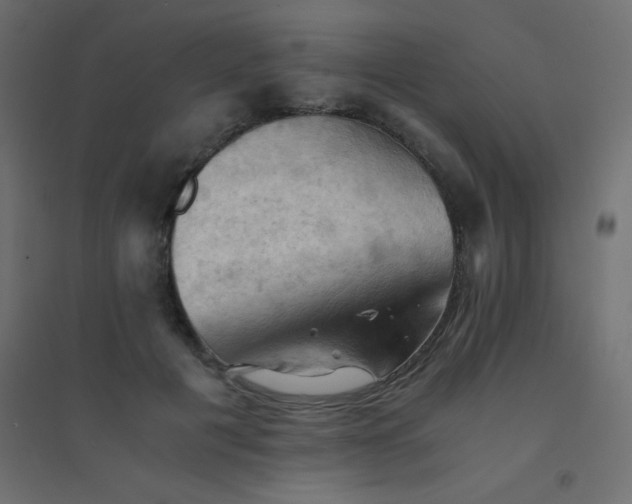 X0000094450601200711211520