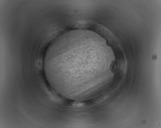 X0000094450602200711211520