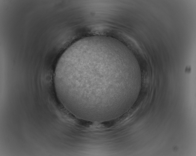 X0000094450603200711211520