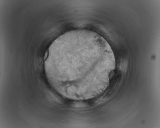 X0000094450605200711211520