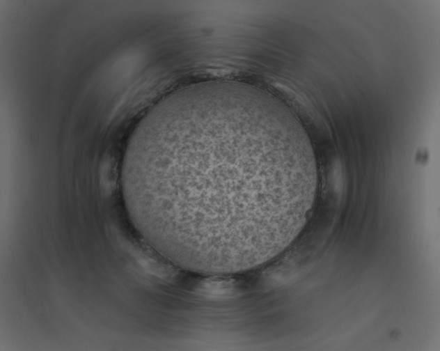 X0000094450606200711211520