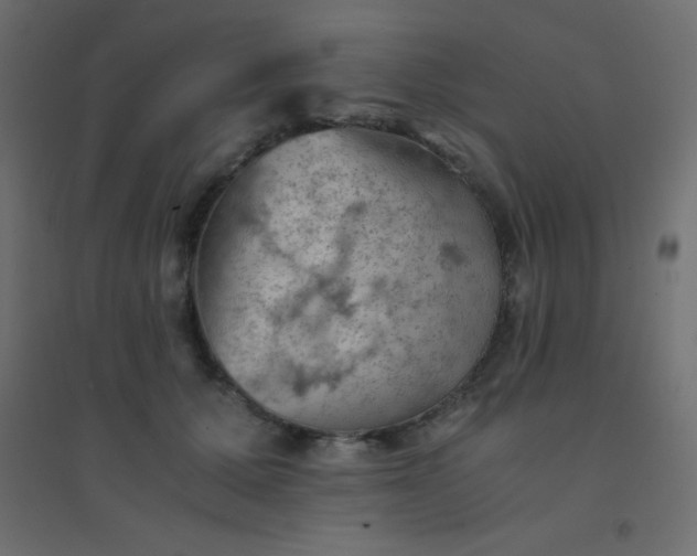 X0000094450607200711211520