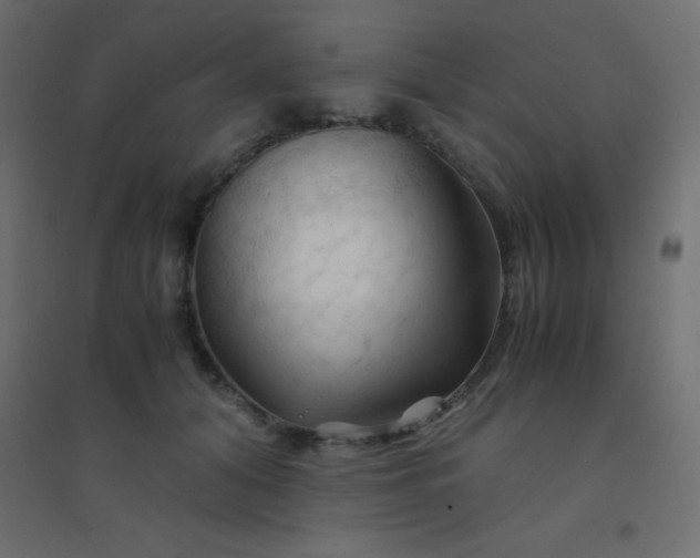 X0000094450608200711211520