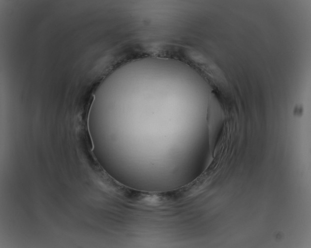 X0000094450611200711211520