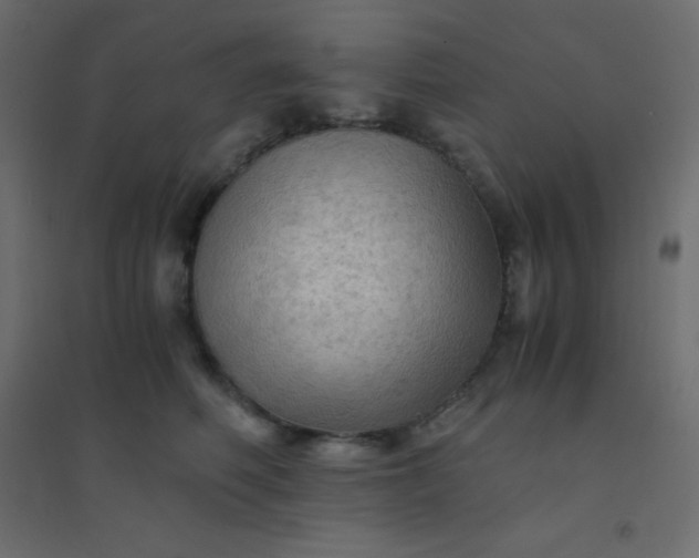 X0000094450614200711211520