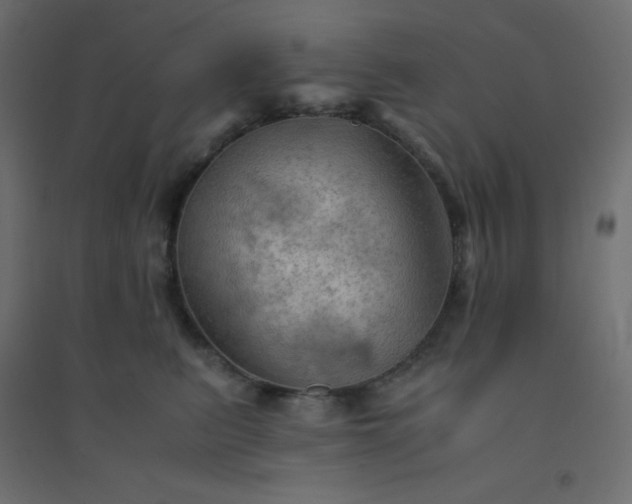 X0000094450615200711211520