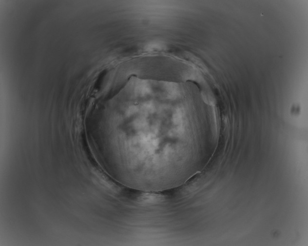 X0000094450617200711211520