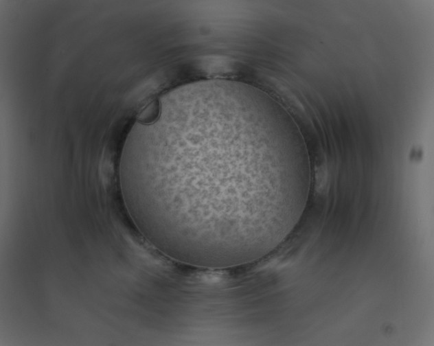 X0000094450618200711211520