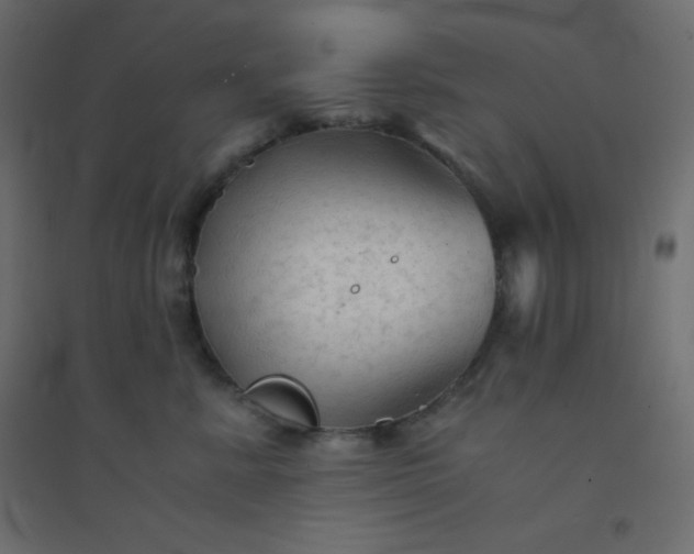 X0000094450619200711211520