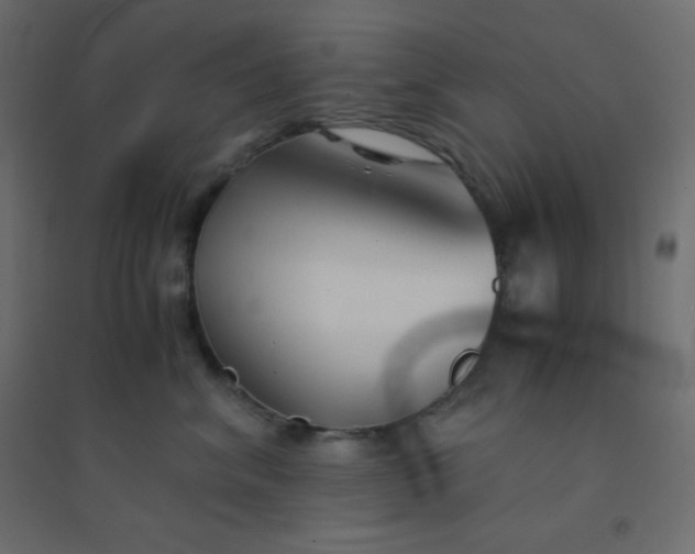 X0000094450620200711211520