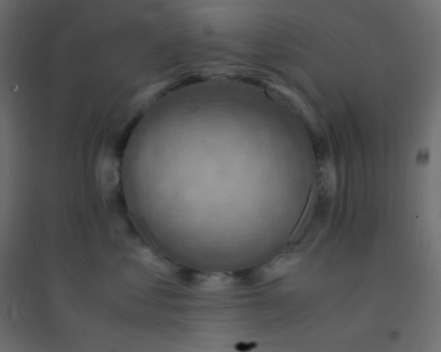 X0000094450621200711211520