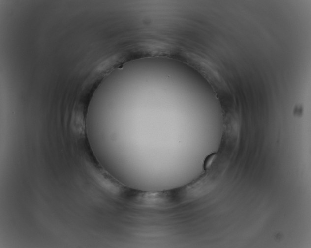 X0000094450622200711211520