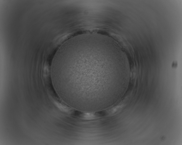 X0000094450623200711211520