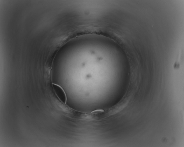 X0000094450624200711211520