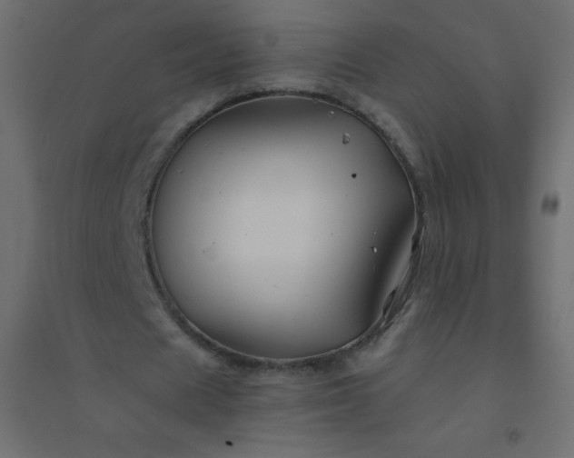 X0000094450625200711211519