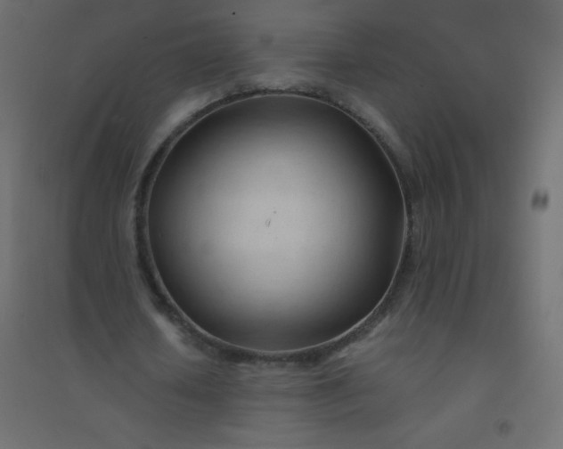 X0000094450626200711211519