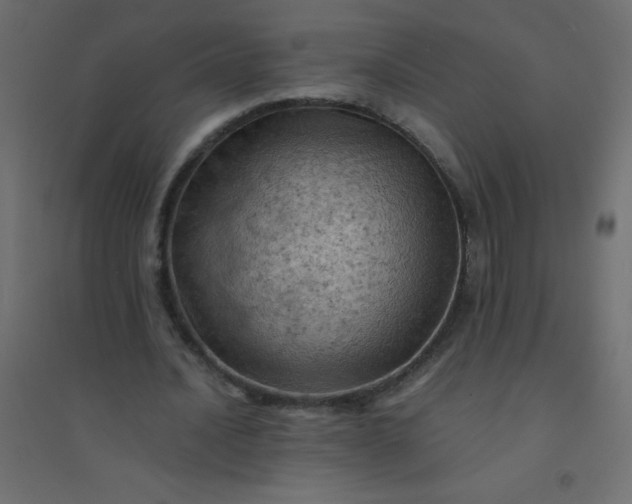 X0000094450628200711211519