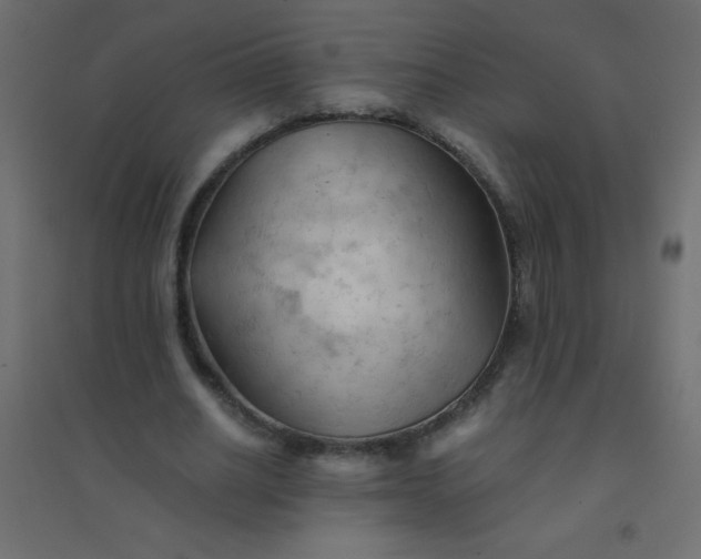 X0000094450630200711211519