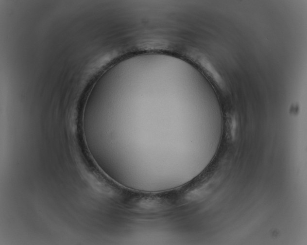 X0000094450631200711211519