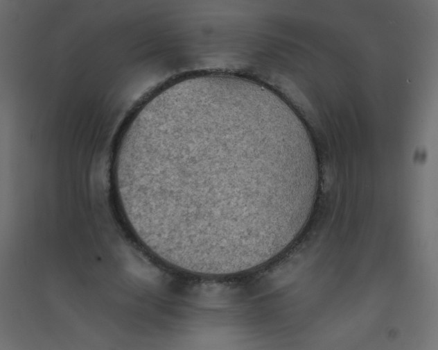 X0000094450632200711211519