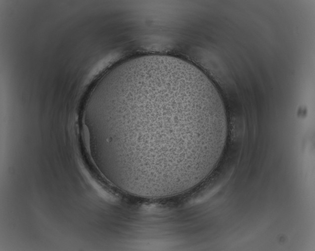 X0000094450634200711211519