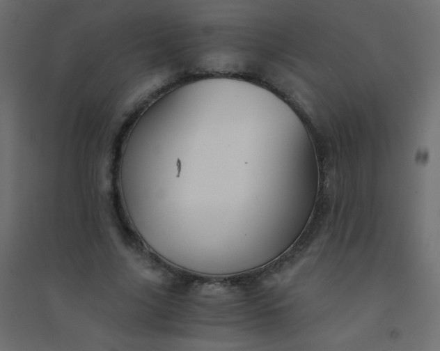 X0000094450635200711211519