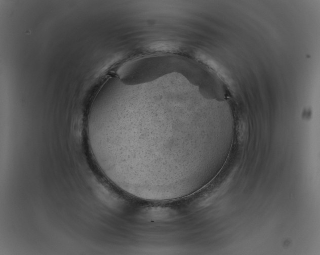 X0000094450637200711211519