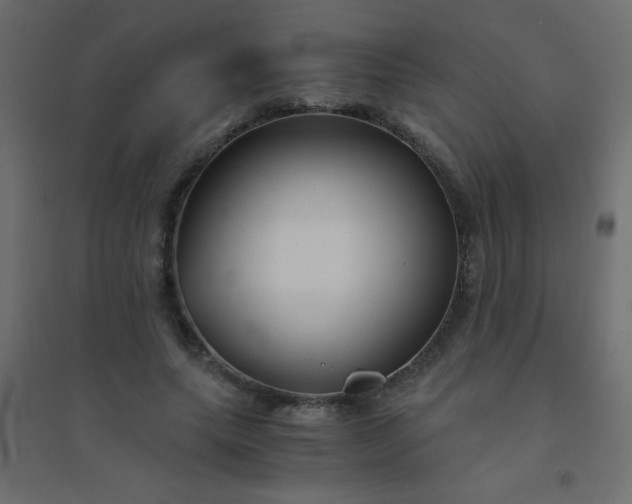 X0000094450639200711211519