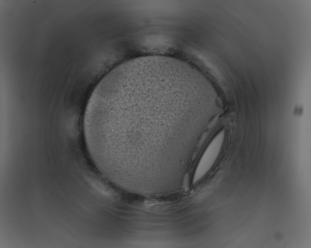 X0000094450641200711211519